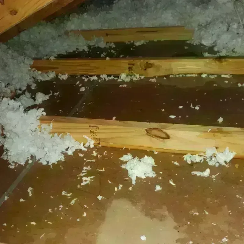 Attic Water Damage in Isla Vista, CA